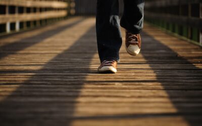 Should Gait Speed Be Considered A Vital Sign?